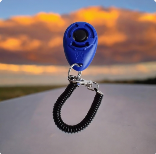 CanineChest dog training clicker, an effective and easy-to-use tool for reinforcing positive behaviors during dog training.