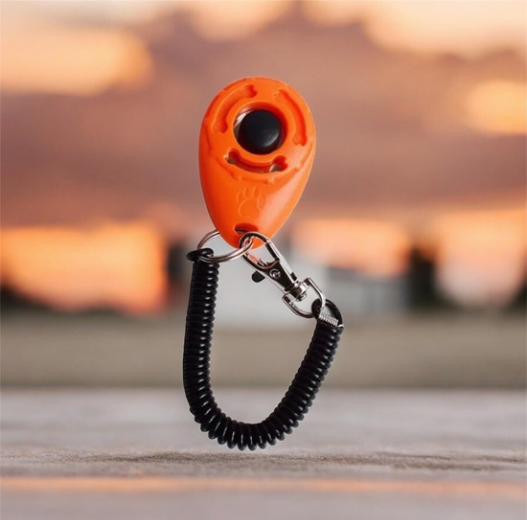 CanineChest dog training clicker, an effective and easy-to-use tool for reinforcing positive behaviors during dog training.