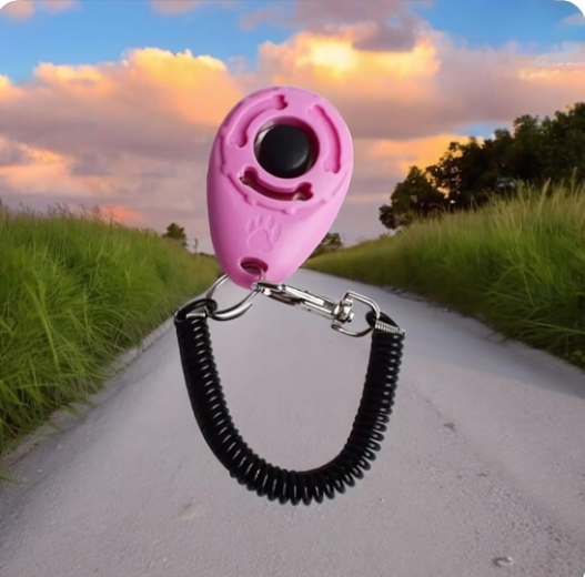 CanineChest dog training clicker, an effective and easy-to-use tool for reinforcing positive behaviors during dog training.