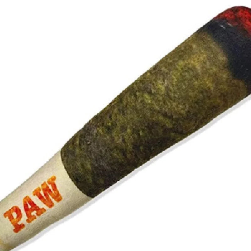 CanineChest green simulation cigar dog toy with sound, a soft plush squeaker toy that adds a playful twist to pet accessories.