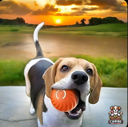 Beagle holding CanineChest orange Smart Dog Toy Ball, a fun and USB rechargeable toy for active pet play.