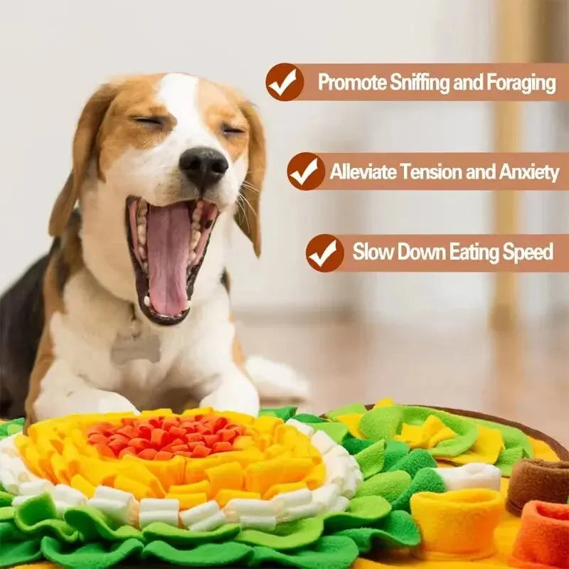 CanineChest Sniff & Find treat mat for dogs, an engaging puzzle that hides treats to encourage sniffing and mental stimulation.