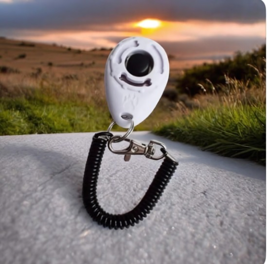 CanineChest dog training clicker, an effective and easy-to-use tool for reinforcing positive behaviors during dog training.