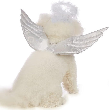 Back view of all-white cavapoo wearing CanineChest angel wings costume, a charming outfit with soft wings and halo for Halloween and special events