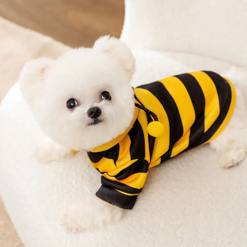 Side view of dog wearing CanineChest bee costume, a soft and warm outfit with striped design, perfect for festive events and seasonal fun.