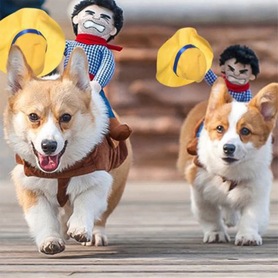 CanineChest cowboy costume for dogs with a cowboy rider design, breathable and easy-to-wear for festive events like Halloween and birthdays.