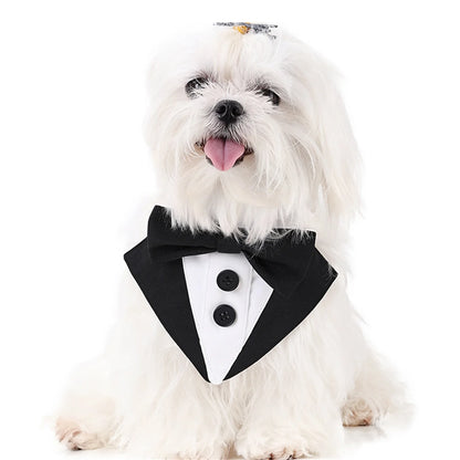 Maltese dog wearing CanineChest Groomsen Bandana Costume, perfect for dressing up pets for weddings, parties, or special celebrations.