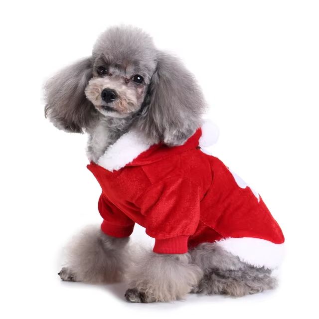 CanineChest Mr. Claus dog costume, a festive Santa outfit perfect for Christmas celebrations.