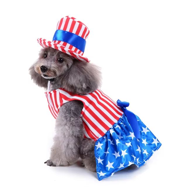 CanineChest Ms. America dog costume with American flag skirt, ideal for patriotic celebrations and photoshoots. Kamala Harris Michelle obama Hillary Clinton