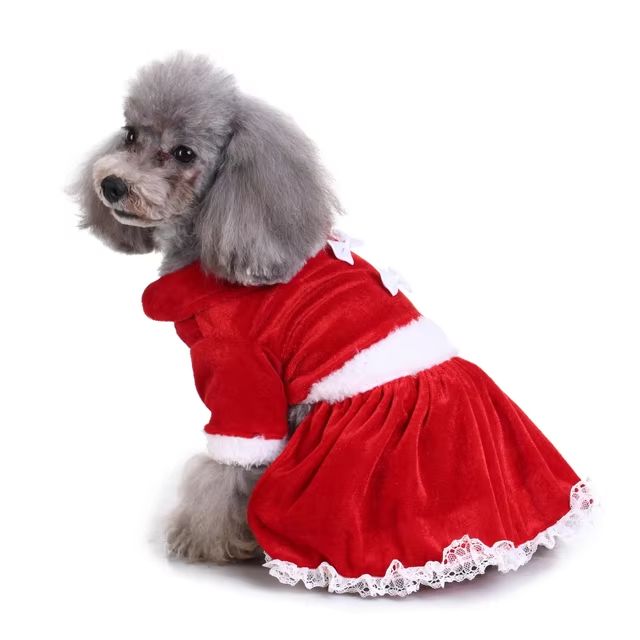 CanineChest Ms. Claus dog costume, a festive holiday outfit featuring a Santa-style skirt.