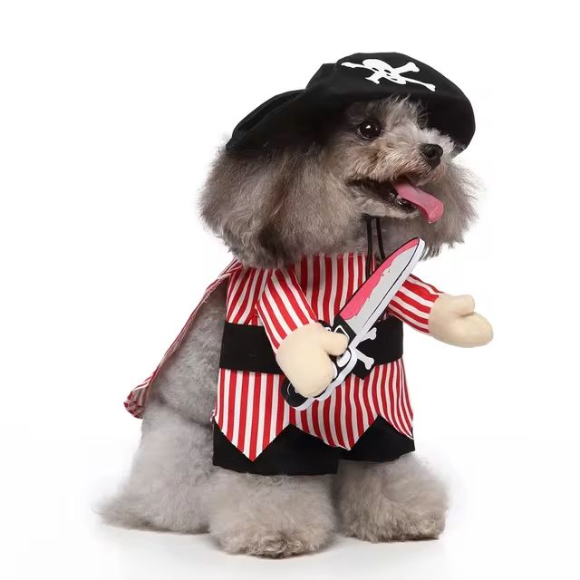 CanineChest pirate dog costume, a classic outfit with fun details, perfect for parties and Halloween.