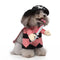 Pirate