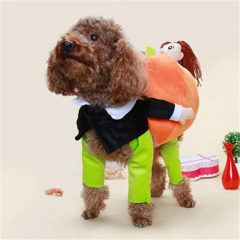 Side view of poodle in CanineChest pumpkin costume, cozy velvet design with fluffy filling, ideal for Halloween, birthdays, and seasonal events.