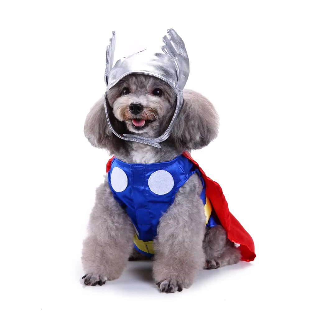 CanineChest Thor dog costume, a heroic outfit inspired by the Marvel character, great for fans